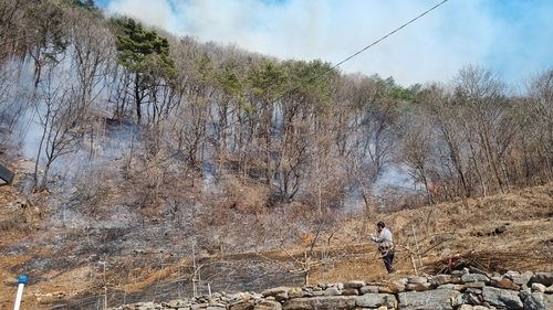 평창 산불 현장 [동부지방산림청 제공]
