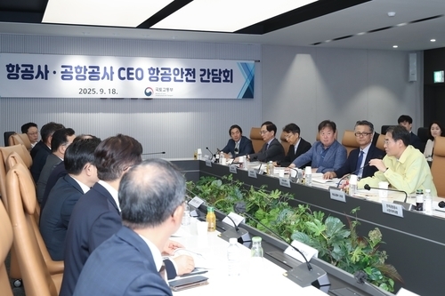 국토2차관, 항공사·공항공사 간담회 [국토교통부 제공]