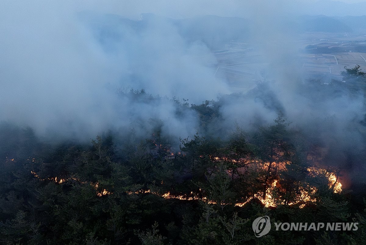 26일 경북 청송군 청송읍 야산으로 산불이 번지고 있다.