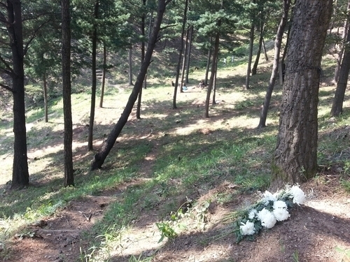 산림청, ‘제3의 국립수목장림’ 공모…80억 투입해 지역상생 모델 구축