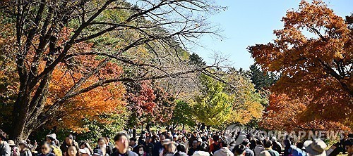전국 물든 단풍에 인파 ‘활짝’…가을 축제·관광지 인산인해