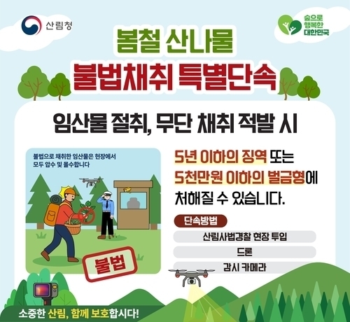 산림청, 봄철 불법 임산물 채취 집중단속…“무관용 원칙 적용”