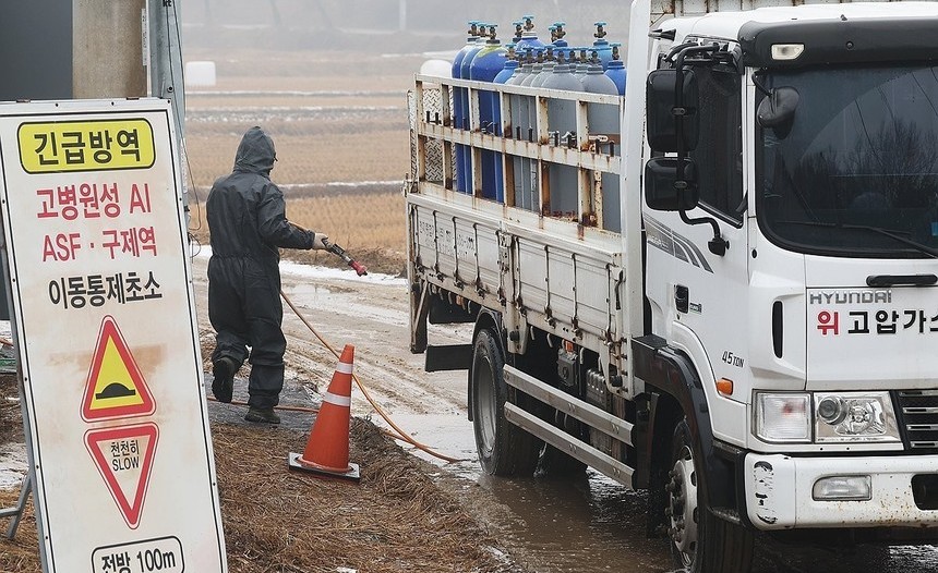 충남·충북 가금농장서 고병원성 AI 확진…전국 누적 46건