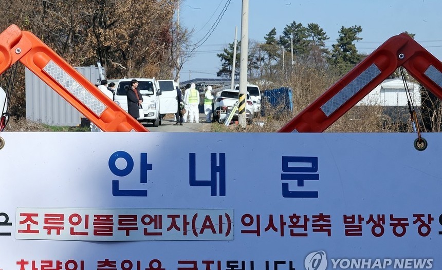 충남 천안 산란계 농장서 AI 항원 검출…이번 겨울 첫 사례